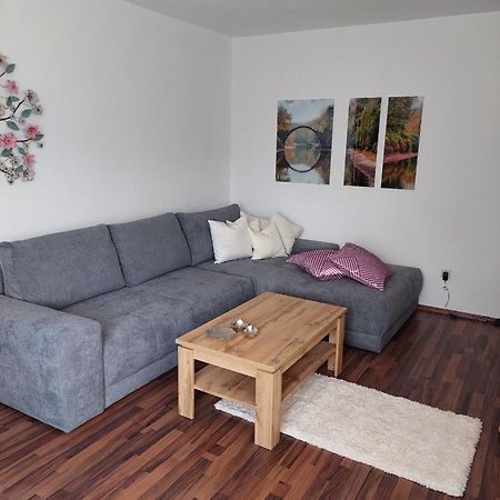 Appartement Burgfried Radstadt Exteriör bild